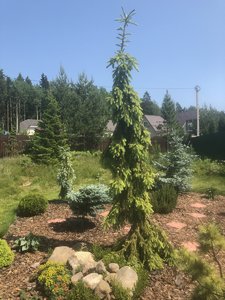 IMG_2615.JPG