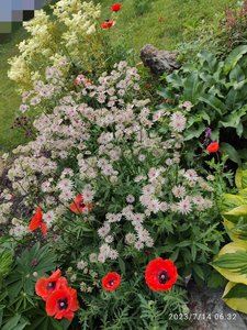 IMG_20230714_190902.jpg