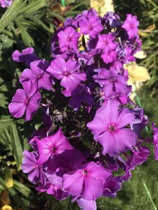 72D58353-E507-4028-AB78-D0F1CEEB3708.jpeg