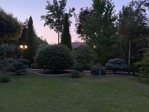 IMG_6641.jpeg
