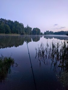 IMG-0249f6c84d193570915e98f9befe1e29-V.jpg