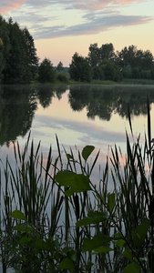 IMG-9e7dd71a663b421fe6aef67b50f208da-V.jpg