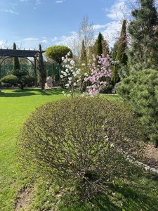 IMG_5830.jpeg