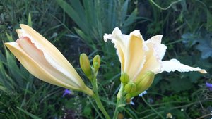 4569b0c4-dfbf-40d8-9604-1cedb14dd4e7.jpg