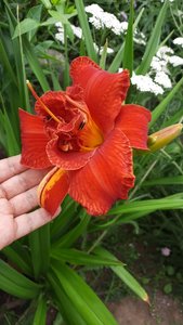 49db688d-a462-4030-b0a5-34e17d6bc400.jpg