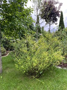 IMG_6540.jpeg