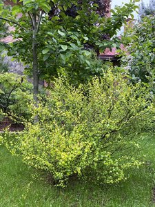 IMG_6539.jpeg