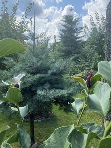 IMG_7023.jpeg