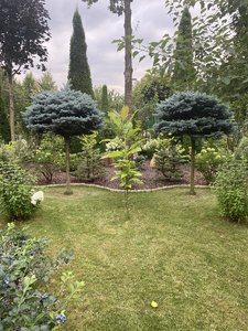 IMG_7073.jpeg