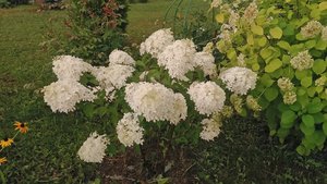 P_20230812_162709.jpg