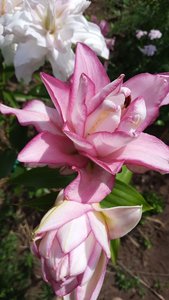 32cef5a0-42a4-4c12-8433-ac2777aab2f5.jpg