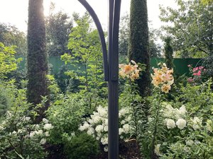 IMG_7138.jpeg