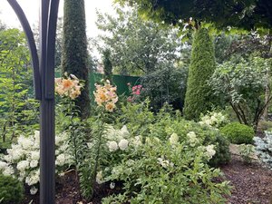 IMG_7137.jpeg