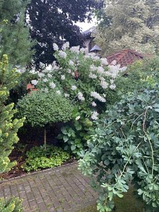 IMG_7107.jpeg