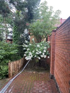 IMG_7105.jpeg