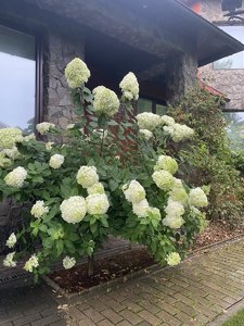 IMG_7104.jpeg