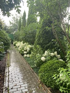 IMG_7103.jpeg