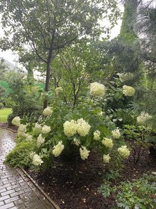 IMG_7102.jpeg