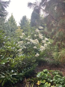 IMG_7100.jpeg