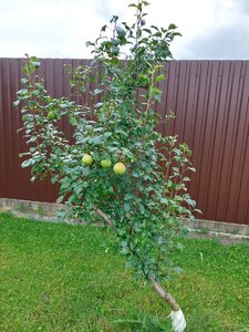 20230813_103115.jpg