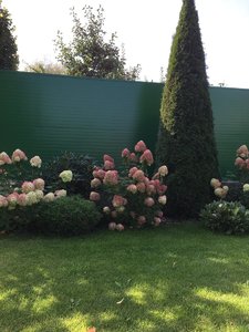 IMG_0401.jpeg