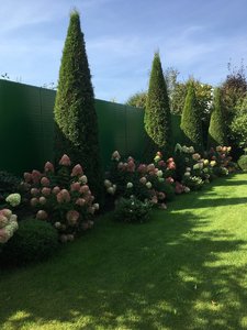 IMG_0399.jpeg