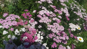 2a11ddbd-f251-4455-919c-b39c86285cc0.jpg