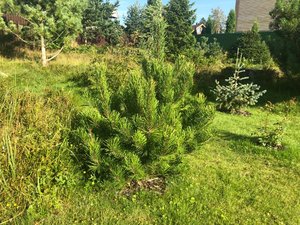 1b66aab6-6516-4226-82ed-d107abed3858.jpg