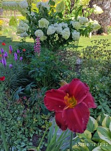 IMG_20230812_122307.jpg