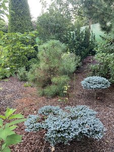 IMG_7170.jpeg