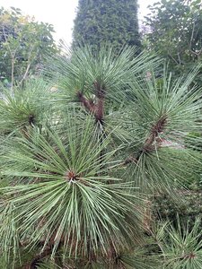 IMG_7173.jpeg