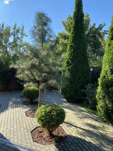 IMG_7159.jpeg