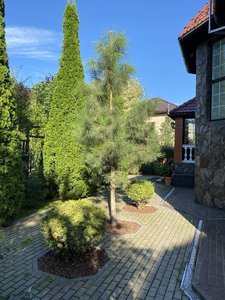 IMG_7160.jpeg