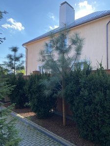 IMG_7162.jpeg