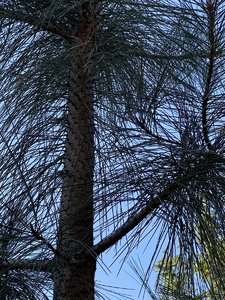 IMG_7164.jpeg