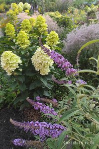 IMG_20230816_211532.jpg