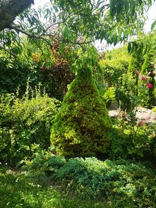16.07.23-3.jpg