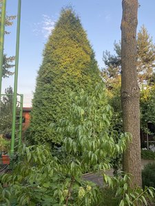 IMG_7202.jpeg