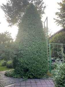 IMG_7204.jpeg