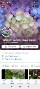 Screenshot_2023-08-21-07-35-25-233_com.vkontakte.android.jpg
