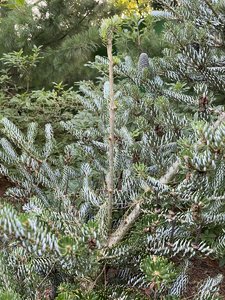 IMG_7187.jpeg
