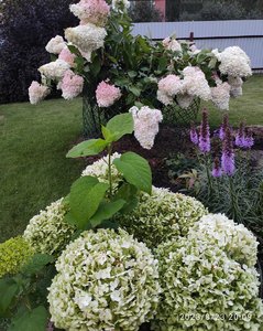 IMG_20230823_231448.jpg
