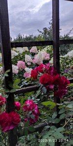 IMG_20230823_212758.jpg