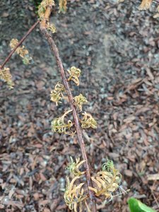 IMG_20220606_194744.jpg