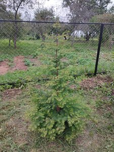 IMG_20230909_182226.jpg