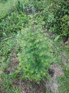 IMG_20230730_195634.jpg