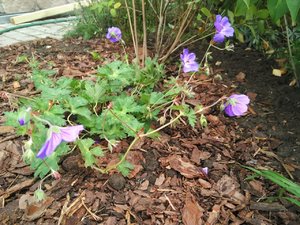 3d91bbea-2c48-4209-ae1b-ba31824e96f4.jpg