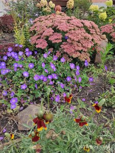 IMG_20230926_135338.jpg