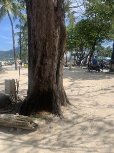 IMG_6747.jpeg