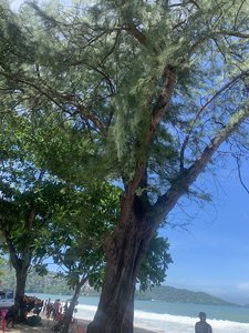 IMG_6749.jpeg